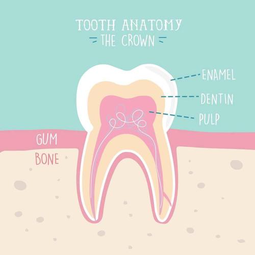 u=88711277,3321032392&fm=26&fmt=auto&gp=0
