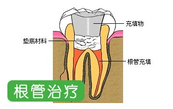 图片2 图片2