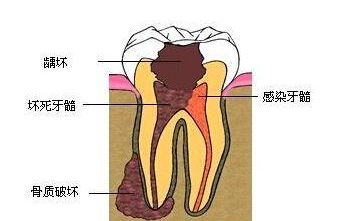 微信图片_20230301152529 微信图片_20230301152529