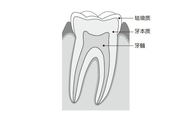 微信图片_20230512111306 微信图片_20230512111306