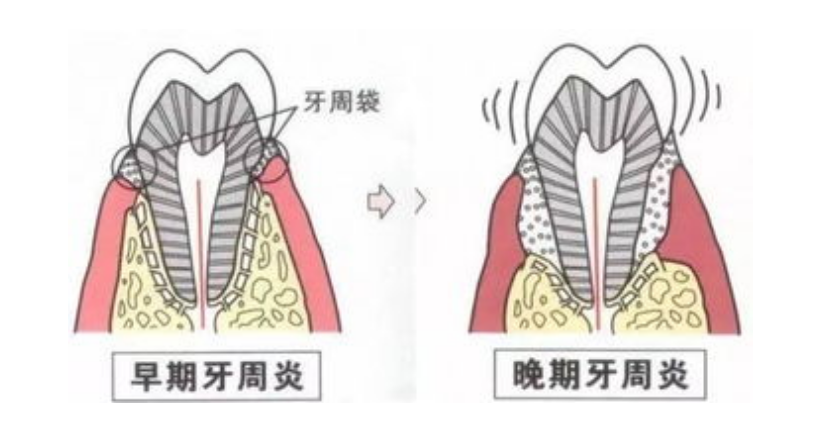 微信图片_20230519151208 微信图片_20230519151208