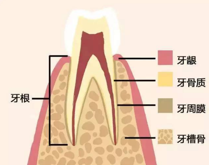 深圳牙科 深圳牙科