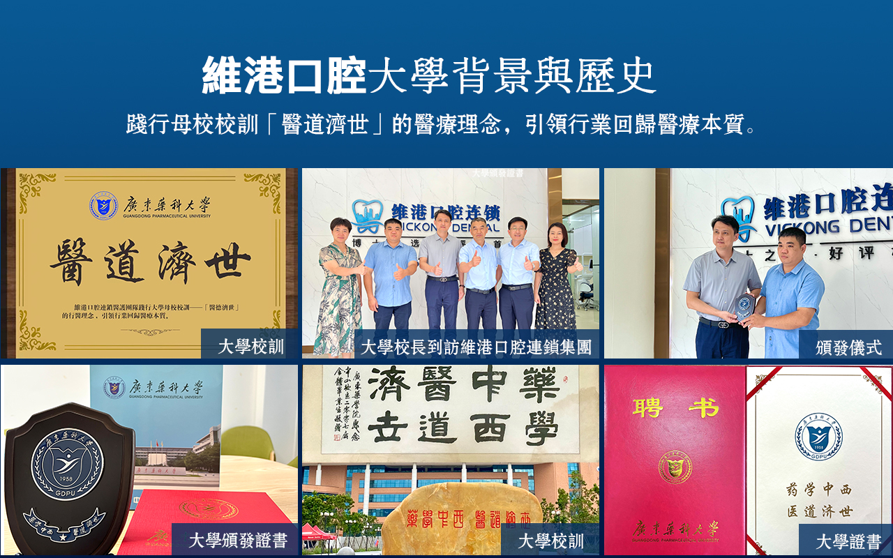 維港口腔醫藥大學背景