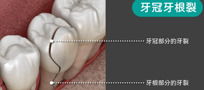 維港口腔 維港口腔