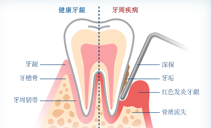 深圳牙科 深圳牙科