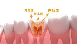 深圳維港口腔 深圳維港口腔