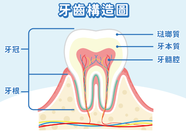 深圳維港口腔