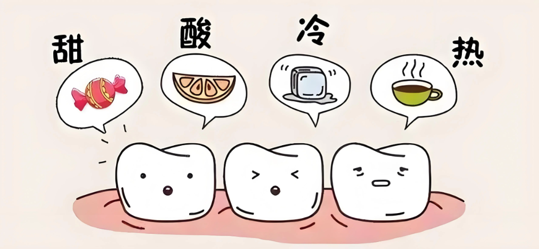 牙齿敏感示意图